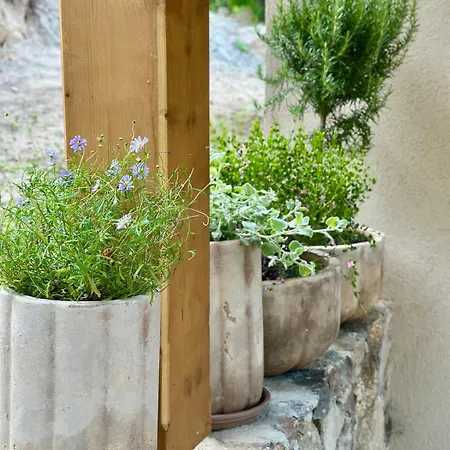 Prázdninový dům Casa Di L'ortu - Neuve Avec Piscine Privee Chauffee *