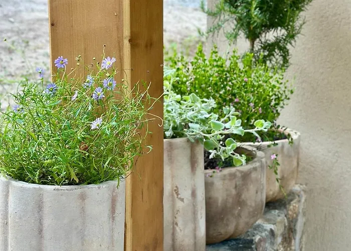 בית נופש Casa Di L'ortu - Neuve Avec Piscine Privee Chauffee *